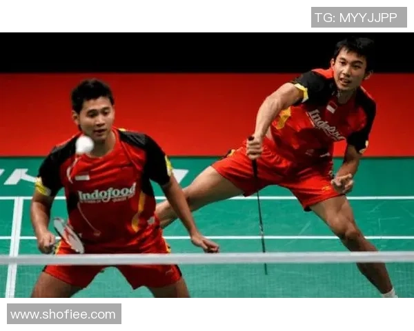 杭州羽毛球队区域防守策略解析与深度剖析 杭州羽毛球队区域防守策略解析与深度剖析