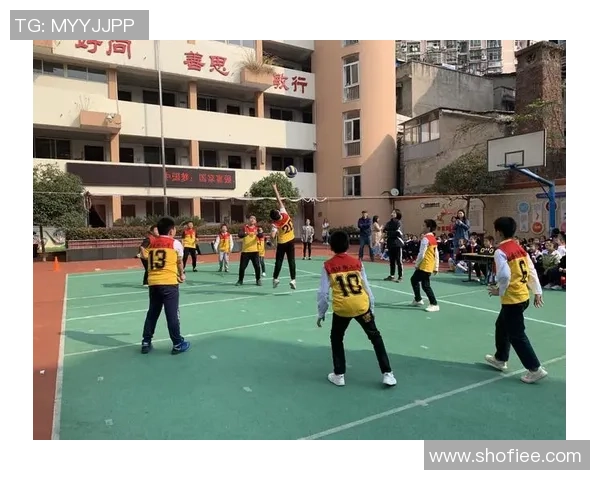 武汉排球队阵地战分析:优劣势与未来发展展望