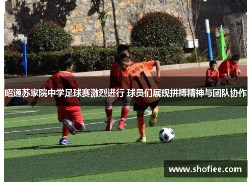 昭通苏家院中学足球赛激烈进行 球员们展现拼搏精神与团队协作