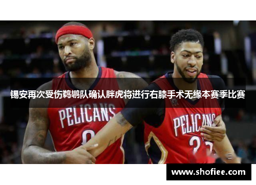 锡安再次受伤鹈鹕队确认胖虎将进行右膝手术无缘本赛季比赛